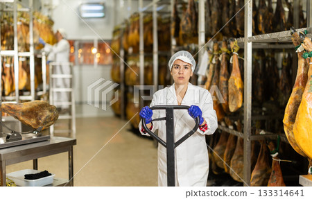 In jamon production shop, woman employee pushes heavy cart with cargo. In jamon production shop, woman employee pushes heavy cart with cargo. 133314641
