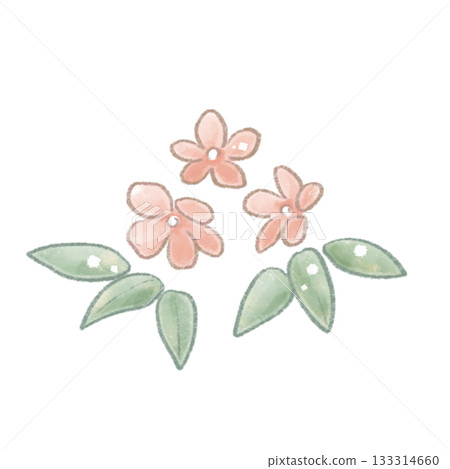 A soft, colored pencil-style illustration of pink flowers (illustration, illustration material) 133314660