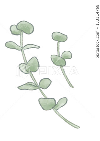 A warm, hand-drawn illustration of eucalyptus with a soft, colored pencil touch. 133314769