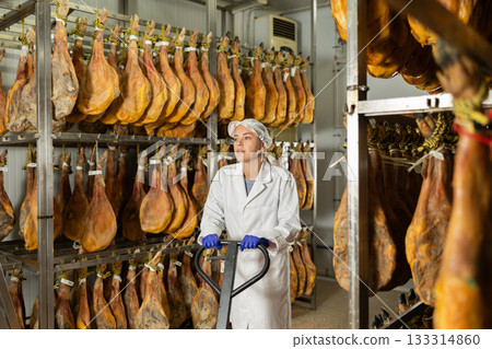 In jamon production shop, girl employee pushes heavy cart with cargo. In jamon production shop, girl employee pushes heavy cart with cargo. 133314860