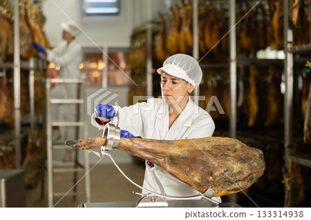 Female worker places ham on a jamonero to cut it into appetizing pieces 133314938