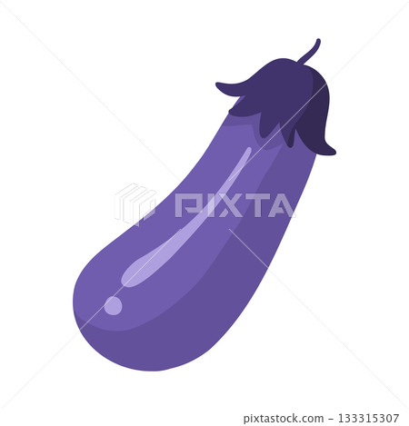 simple eggplant illustration simple eggplant illustration 133315307