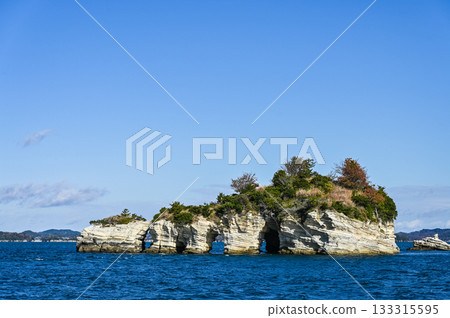 宮城縣的松島 133315595