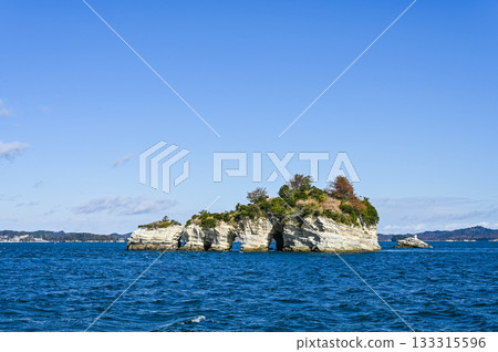 宮城縣的松島 133315596