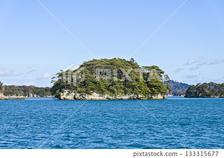 宮城縣的松島 宮城縣的松島 133315677