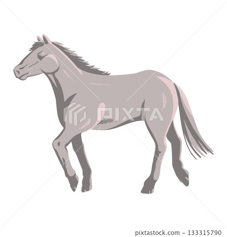 Realistic white horse illustration 133315790
