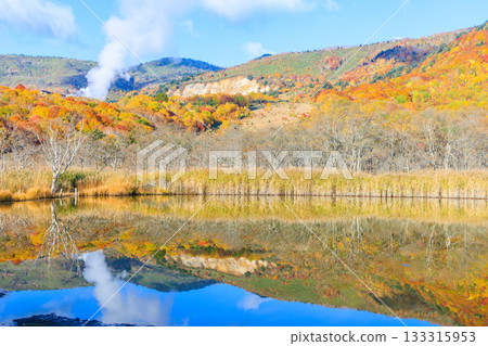 Autumn at Akanuma (Goshikinuma), Hachimantai City, Iwate Prefecture 133315953