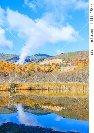 岩手縣八幡平市赤沼的秋天 岩手縣八幡平市赤沼的秋天 133315960