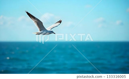 A seagull soaring over the ocean, symbolizing freedom and the journey of migratory birds on World Migratory Bird Day A seagull soaring over the ocean, symbolizing freedom and the journey of migratory birds on World Migratory Bird Day 133316005