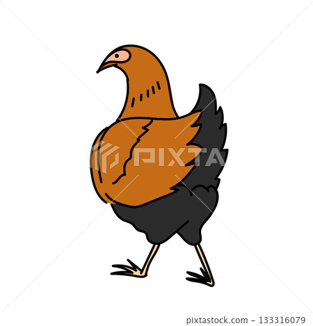插圖：一隻棕黑色希奈雞的簡單插圖 133316079