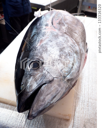 Bluefin tuna cutting show 133316320