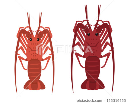 Auspicious luxury food, simple vector illustration of spiny lobster Auspicious luxury food, simple vector illustration of spiny lobster 133316333