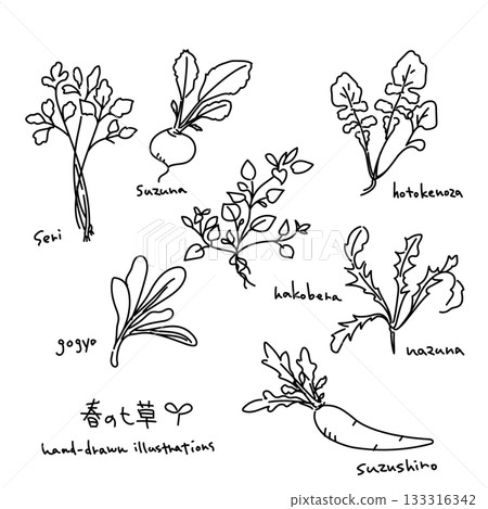 Spring Seven Herbs Illustration Set - Black Line Art 133316342