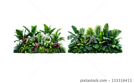 Fresh green grass and bright flowers isolated on white background Fresh green grass and bright flowers isolated on white background 133316413