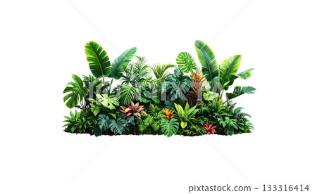 Fresh green grass and bright flowers isolated on white background Fresh green grass and bright flowers isolated on white background 133316414