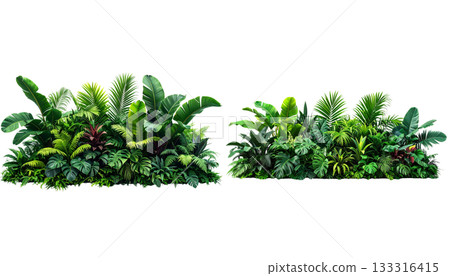 Fresh green grass and bright flowers isolated on white background 133316415