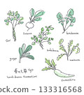 春季七草插畫集：簡約時尚的線條畫 133316568