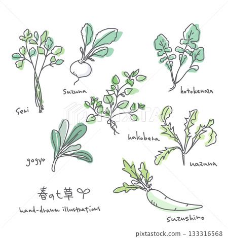 Spring Seven Herbs Illustration Set: Simple and stylish line drawings 133316568