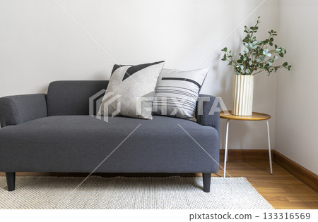 Modern retro concept of home interior with comfortable pillow on sofa, coffee table, plants and carpet. Stylish home decor of living room. 133316569