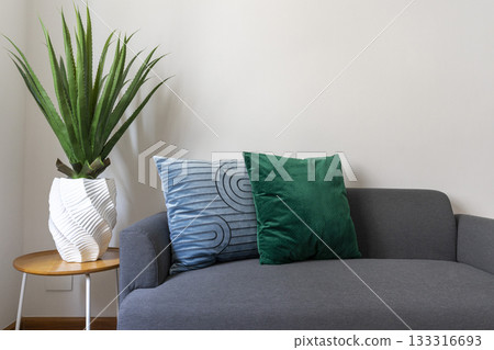 Scandinavian interior decoration of grey sofa with blue and green pillow and blanket on it. Green plant pot on side table. 133316693