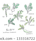春季七草插畫集：手繪水彩插畫 133316722