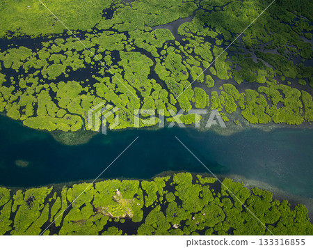 Mangrove forest with winding water channels and scattered green patches on dark water. Siargao, Philippines. 133316855