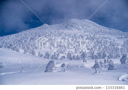Snow monsters on Mount Hakkoda in March 133316861