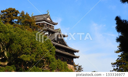 National treasure Matsue castle 133316977