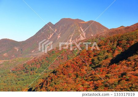[Oita Prefecture] Autumn foliage of the Kuju Mountains as seen from Makinoto No. 1 Observation Deck 133317019