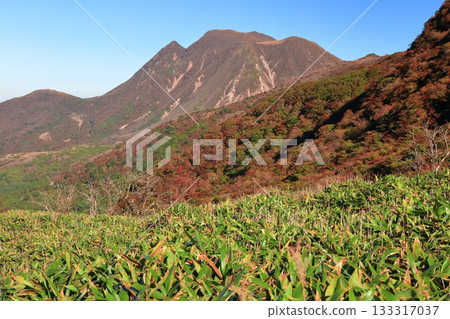 【大分縣】從牧之通1號展望台看到的九重山脈秋葉 【大分縣】從牧之通1號展望台看到的九重山脈秋葉 133317037