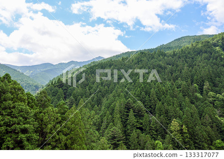 A magnificent view of the deep green coniferous forest that stretches across the slopes under blue skies and white clouds. A magnificent view of the deep green coniferous forest that stretches across the slopes under blue skies and white clouds. 133317077