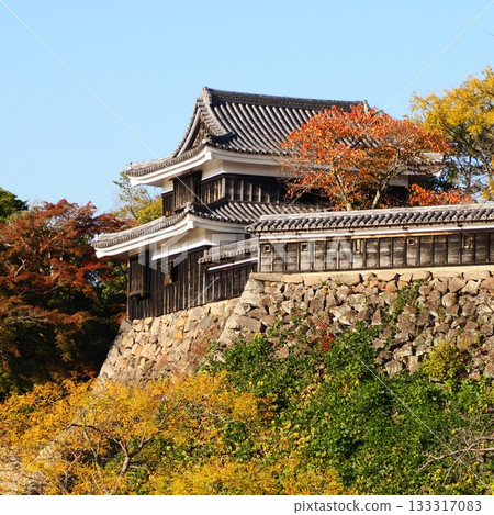 國寶松江城南塔 國寶松江城南塔 133317083