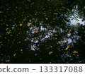 Fallen autumn leaves floating on the water surface 133317088
