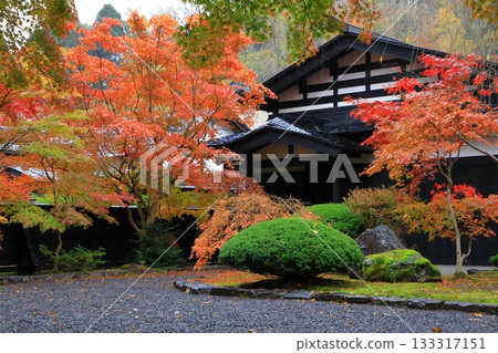 Autumn Kakudate Samurai Residence Street Autumn leaves scenery Autumn Kakudate Samurai Residence Street Autumn leaves scenery 133317151
