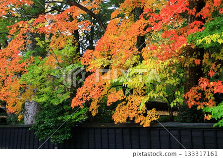 秋天Kakudate武士住宅街秋葉風景 133317161