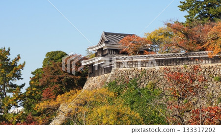 國寶松江城南塔 133317202