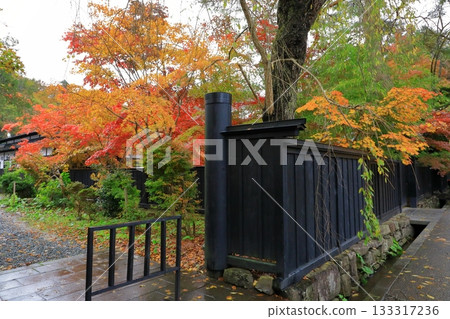 Autumn Kakudate Samurai Residence Street Autumn leaves scenery Autumn Kakudate Samurai Residence Street Autumn leaves scenery 133317236
