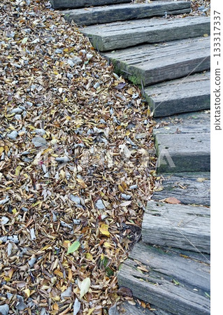 Old wooden stairs and a carpet of fallen leaves in the park Old wooden stairs and a carpet of fallen leaves in the park 133317337