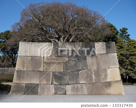 2025年江戶城石牆的存世量 133317430