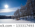 大座星池的雪景和落葉松，以及結冰的湖面（飯綱高原） 133317493