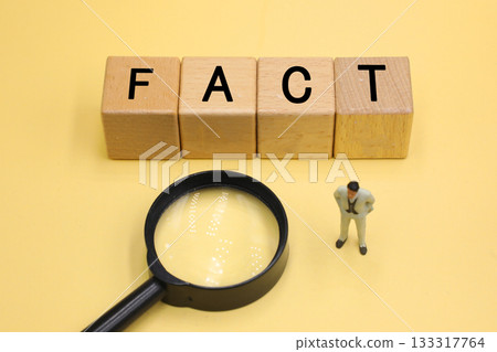 A block labeled FACT 133317764
