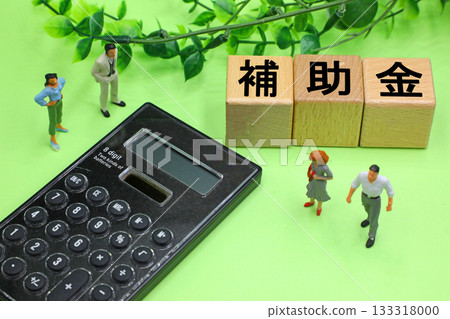 A block with the word "Subsidy" written on it 133318000