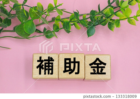 一塊寫著「補貼」字樣的磚塊 133318009