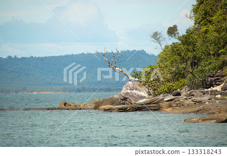A rocky shoreline with a lone tree, overlooking a calm sea and distant mountains. Koh Sdach, Cambodia 133318243