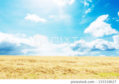 Wheat stubble field is stretching under flat design bright blue sky with scattered clouds Wheat stubble field is stretching under flat design bright blue sky with scattered clouds 133318627