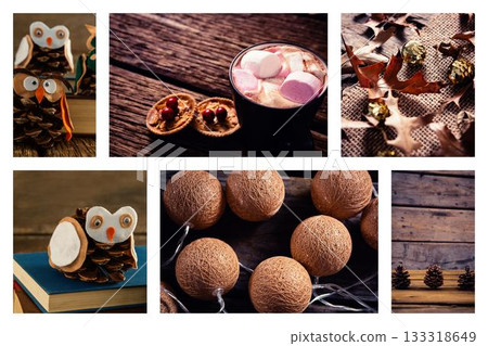 Showing pinecone owl crafts, steaming mug of hot cocoa, marshmallows, walnuts, leaves and lights Showing pinecone owl crafts, steaming mug of hot cocoa, marshmallows, walnuts, leaves and lights 133318649