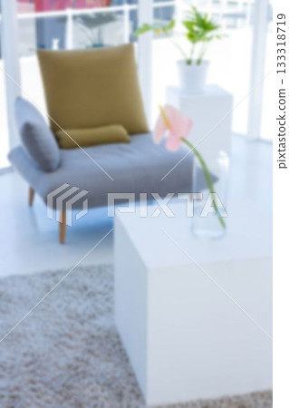 Flower against couch at modern house Flower against couch at modern house 133318719