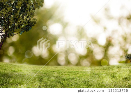 Flat design is featuring deciduous trunk with foliage over sunlit grassy meadow and treeline bokeh 133318756