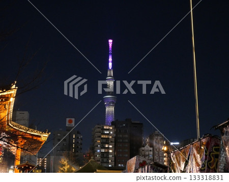 Lighted Sky Tree Lighted Sky Tree 133318831