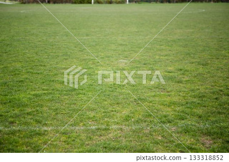 High angle view of lush green grass 133318852